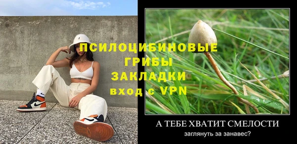 ПСИЛОЦИБИНОВЫЕ ГРИБЫ Алексеевка