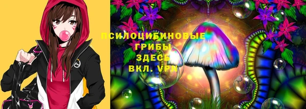дживик Алексин