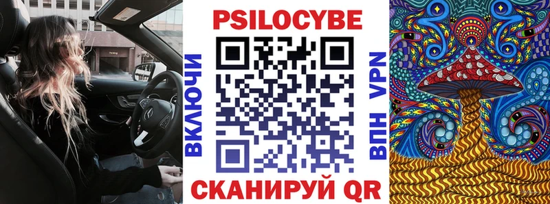где купить   Андреаполь  Псилоцибиновые грибы Magic Shrooms 